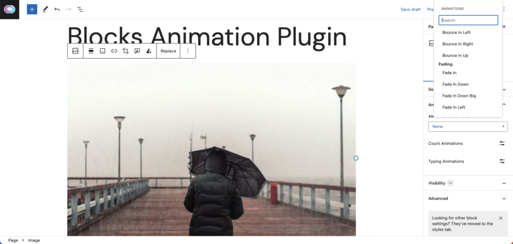 Blocks Animation Plugin Screenshot
